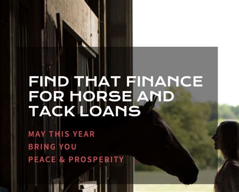 Compare horse loans and equine financing